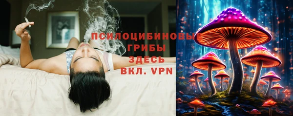 стаф Абинск