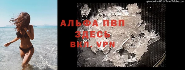 амф Козловка