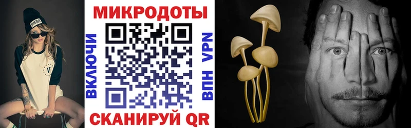 Псилоцибиновые грибы Cubensis Болохово